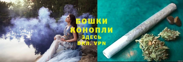 СК Бородино