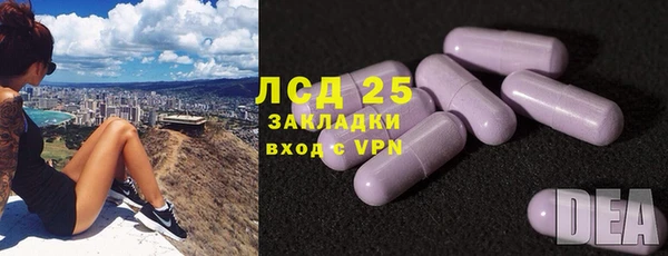 СК Бородино