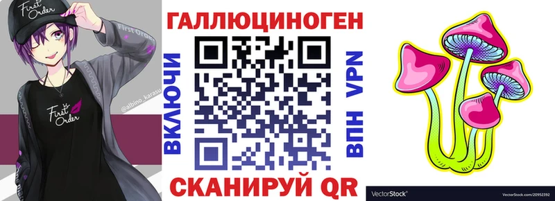 как найти закладки  Медногорск  даркнет какой сайт  Псилоцибиновые грибы Psilocybine cubensis 