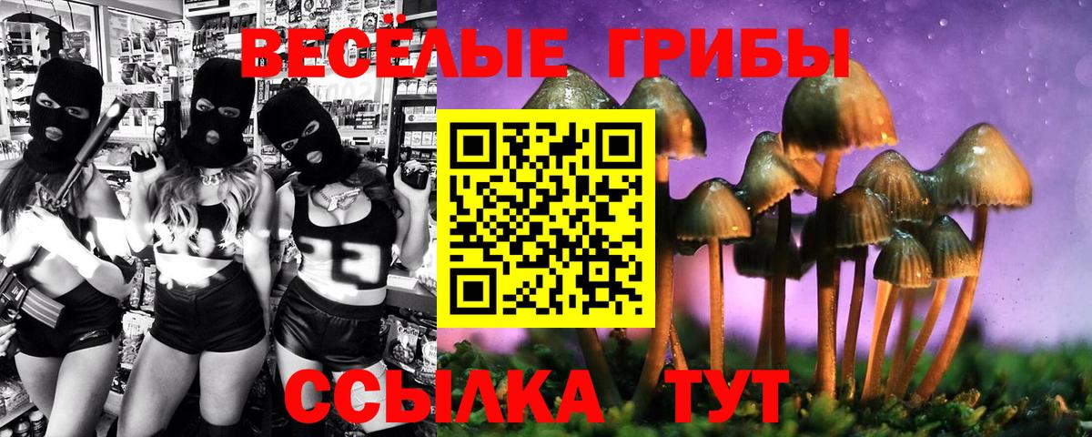 Псилоцибиновые грибы Psilocybe Медногорск
