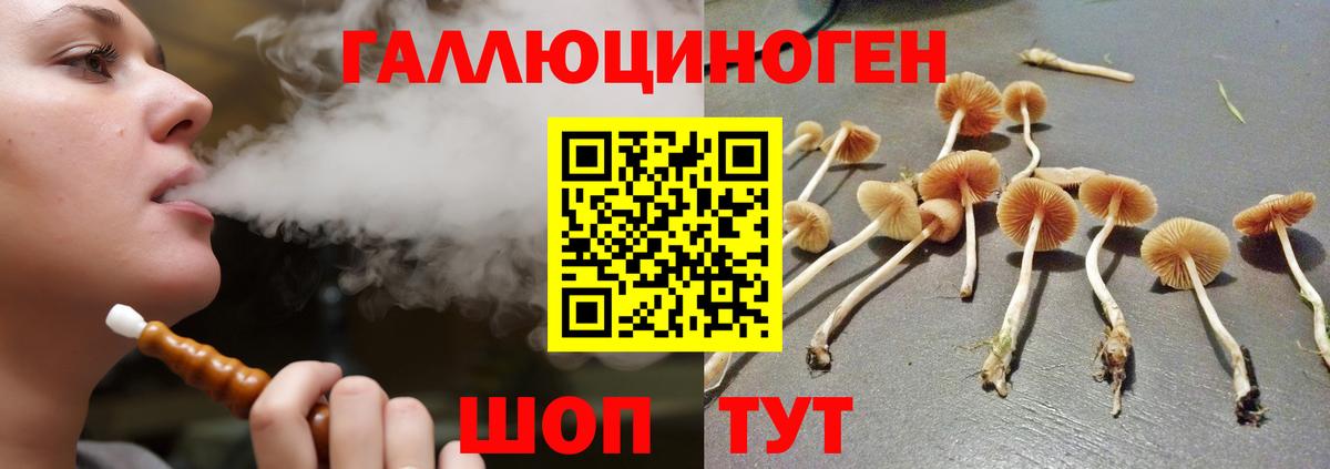 Галлюциногенные грибы MAGIC MUSHROOMS  Вход с VPN  даркнет сайт  Псилоцибиновые грибы GOLDEN TEACHER  Медногорск 